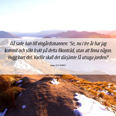 Picture 06 - Lukas 13:7 SV1917 - Då sade han till vingårdsmannen: 'Se, nu i tre - Bible Verse Picture