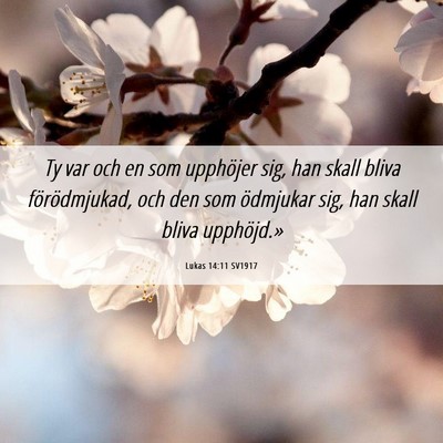 Picture 06 - Lukas 14:11 SV1917 - Ty var och en som upphöjer sig, han skall bliva - Bible Verse Picture