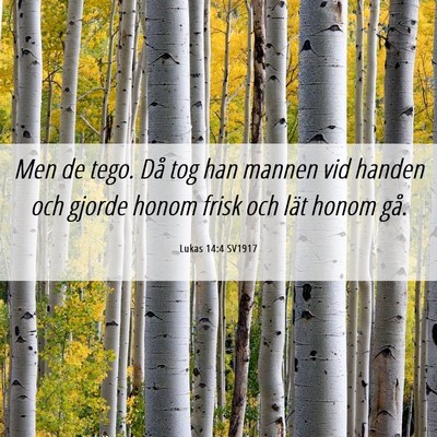Picture 06 - Lukas 14:4 SV1917 - Men de tego. Då tog han mannen vid handen och - Bible Verse Picture