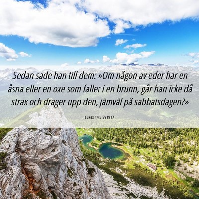 Picture 06 - Lukas 14:5 SV1917 - Sedan sade han till dem: »Om någon av eder har - Bible Verse Picture