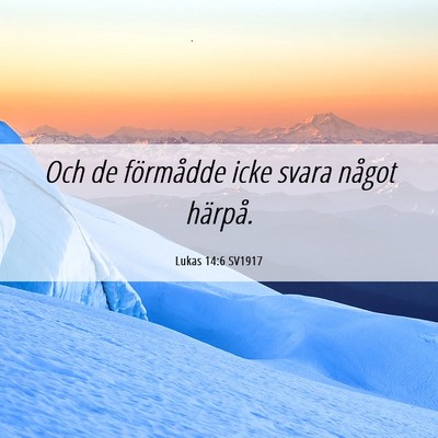 Picture 06 - Lukas 14:6 SV1917 - Och de förmådde icke svara något - Bible Verse Picture