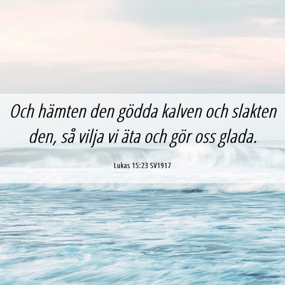 Picture 06 - Lukas 15:23 SV1917 - Och hämten den gödda kalven och slakten den, - Bible Verse Picture