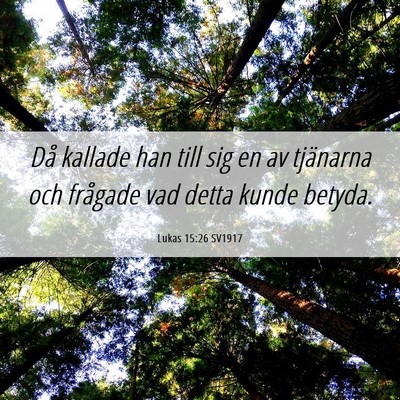 Picture 06 - Lukas 15:26 SV1917 - Då kallade han till sig en av tjänarna och - Bible Verse Picture