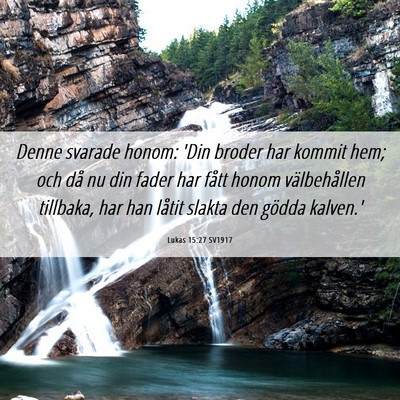 Picture 06 - Lukas 15:27 SV1917 - Denne svarade honom: 'Din broder har kommit hem; - Bible Verse Picture