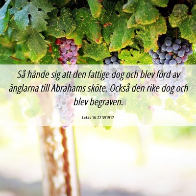 Picture 06 - Lukas 16:22 SV1917 - Så hände sig att den fattige dog och blev förd - Bible Verse Picture