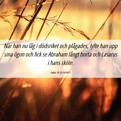 Picture 06 - Lukas 16:23 SV1917 - När han nu låg i dödsriket och plågades, - Bible Verse Picture