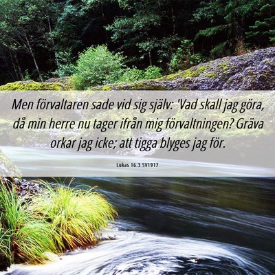 Picture 06 - Lukas 16:3 SV1917 - Men förvaltaren sade vid sig själv: 'Vad skall - Bible Verse Picture