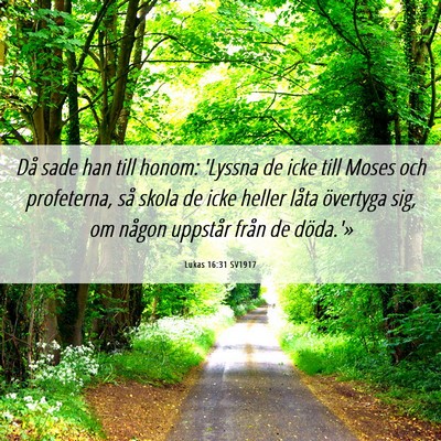 Picture 06 - Lukas 16:31 SV1917 - Då sade han till honom: 'Lyssna de icke till - Bible Verse Picture