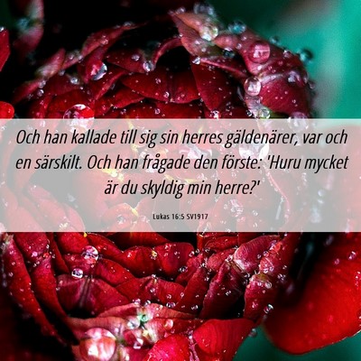 Picture 06 - Lukas 16:5 SV1917 - Och han kallade till sig sin herres gäldenärer, - Bible Verse Picture