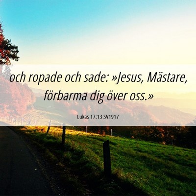 Picture 06 - Lukas 17:13 SV1917 - och ropade och sade: »Jesus, Mästare, förbarma - Bible Verse Picture