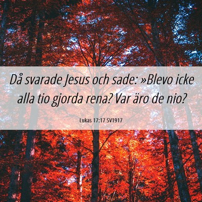 Picture 06 - Lukas 17:17 SV1917 - Då svarade Jesus och sade: »Blevo icke alla tio - Bible Verse Picture