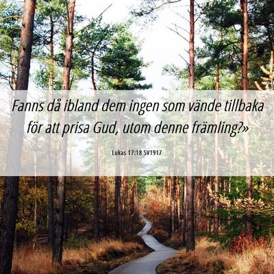 Picture 06 - Lukas 17:18 SV1917 - Fanns då ibland dem ingen som vände tillbaka - Bible Verse Picture