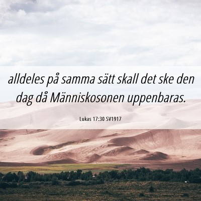 Picture 06 - Lukas 17:30 SV1917 - alldeles på samma sätt skall det ske den dag - Bible Verse Picture