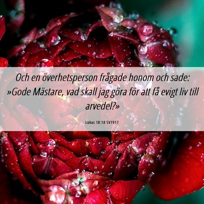 Picture 06 - Lukas 18:18 SV1917 - Och en överhetsperson frågade honom och sade: - Bible Verse Picture