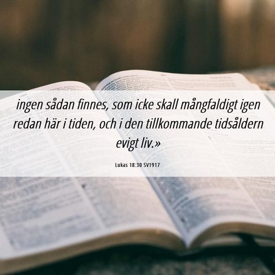 Picture 06 - Lukas 18:30 SV1917 - ingen sådan finnes, som icke skall mångfaldigt - Bible Verse Picture