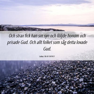 Picture 06 - Lukas 18:43 SV1917 - Och strax fick han sin syn och följde honom och - Bible Verse Picture