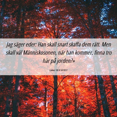 Picture 06 - Lukas 18:8 SV1917 - Jag säger eder: Han skall snart skaffa dem - Bible Verse Picture