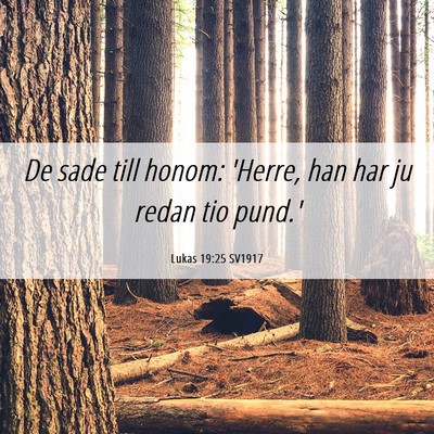 Picture 06 - Lukas 19:25 SV1917 - De sade till honom: 'Herre, han har ju redan tio - Bible Verse Picture