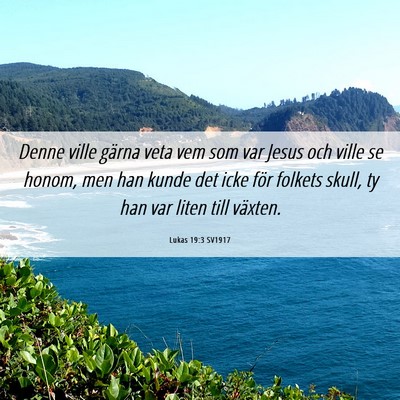 Picture 06 - Lukas 19:3 SV1917 - Denne ville gärna veta vem som var Jesus och - Bible Verse Picture