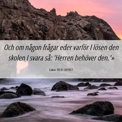 Picture 06 - Lukas 19:31 SV1917 - Och om någon frågar eder varför I lösen den - Bible Verse Picture