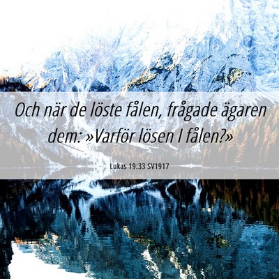 Picture 06 - Lukas 19:33 SV1917 - Och när de löste fålen, frågade ägaren dem: - Bible Verse Picture
