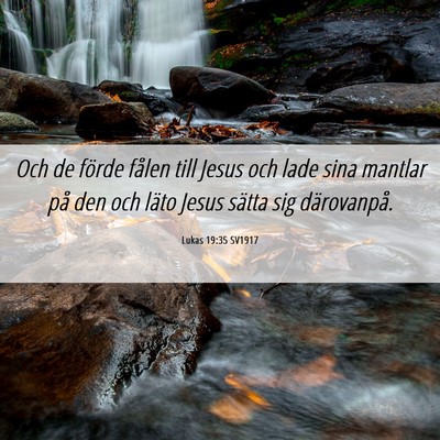 Picture 06 - Lukas 19:35 SV1917 - Och de förde fålen till Jesus och lade sina - Bible Verse Picture