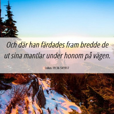Picture 06 - Lukas 19:36 SV1917 - Och där han färdades fram bredde de ut sina - Bible Verse Picture