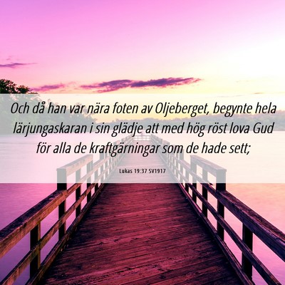Picture 06 - Lukas 19:37 SV1917 - Och då han var nära foten av Oljeberget, - Bible Verse Picture