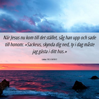 Picture 06 - Lukas 19:5 SV1917 - När Jesus nu kom till det stället, såg han upp - Bible Verse Picture