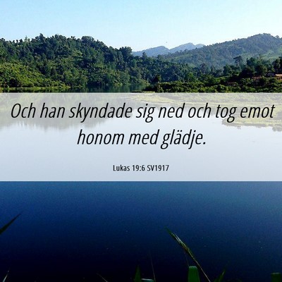 Picture 06 - Lukas 19:6 SV1917 - Och han skyndade sig ned och tog emot honom med - Bible Verse Picture