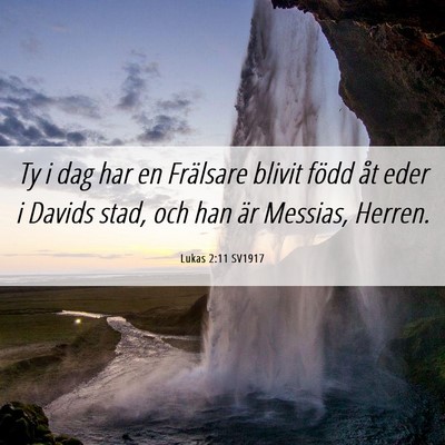 Picture 06 - Lukas 2:11 SV1917 - Ty i dag har en Frälsare blivit född åt eder i - Bible Verse Picture