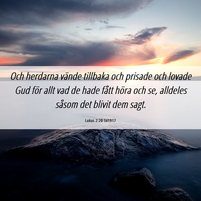 Picture 06 - Lukas 2:20 SV1917 - Och herdarna vände tillbaka och prisade och - Bible Verse Picture