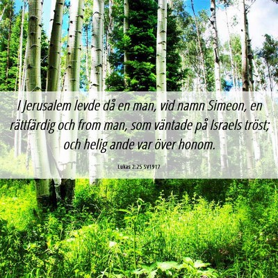 Picture 06 - Lukas 2:25 SV1917 - I Jerusalem levde då en man, vid namn Simeon, en - Bible Verse Picture