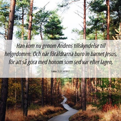 Picture 06 - Lukas 2:27 SV1917 - Han kom nu genom Andens tillskyndelse till - Bible Verse Picture