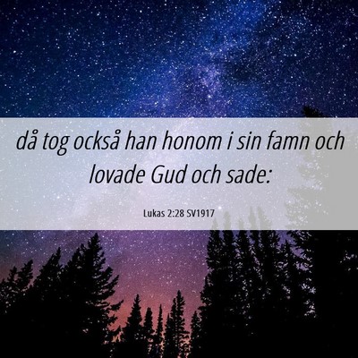 Picture 06 - Lukas 2:28 SV1917 - då tog också han honom i sin famn och lovade - Bible Verse Picture