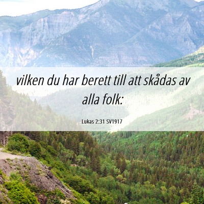 Picture 06 - Lukas 2:31 SV1917 - vilken du har berett till att skådas av alla - Bible Verse Picture