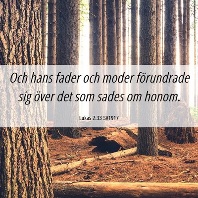 Picture 06 - Lukas 2:33 SV1917 - Och hans fader och moder förundrade sig över - Bible Verse Picture