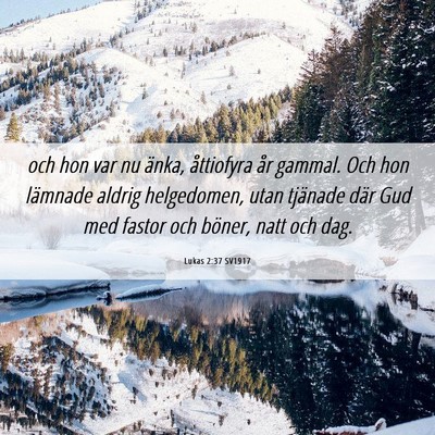 Picture 06 - Lukas 2:37 SV1917 - och hon var nu änka, åttiofyra år gammal. Och - Bible Verse Picture