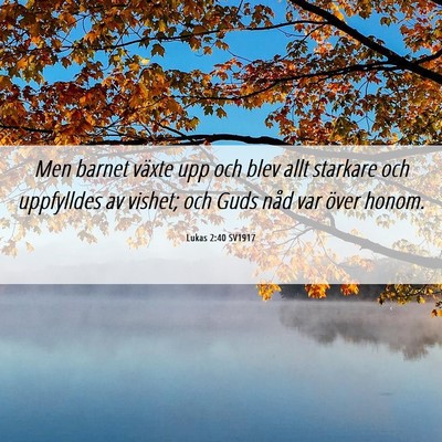 Picture 06 - Lukas 2:40 SV1917 - Men barnet växte upp och blev allt starkare och - Bible Verse Picture