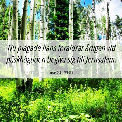 Picture 06 - Lukas 2:41 SV1917 - Nu plägade hans föräldrar årligen vid - Bible Verse Picture