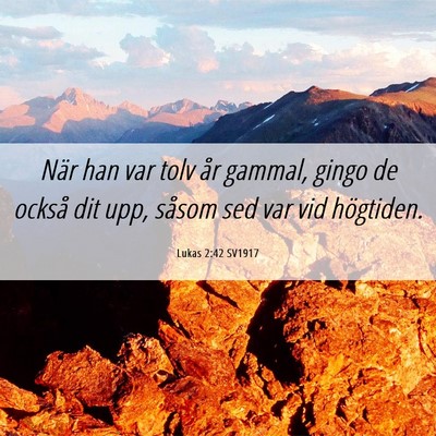Picture 06 - Lukas 2:42 SV1917 - När han var tolv år gammal, gingo de också dit - Bible Verse Picture