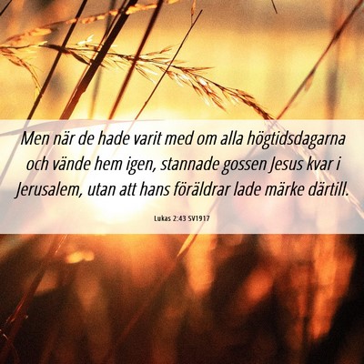 Picture 06 - Lukas 2:43 SV1917 - Men när de hade varit med om alla - Bible Verse Picture