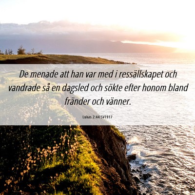 Picture 06 - Lukas 2:44 SV1917 - De menade att han var med i ressällskapet och - Bible Verse Picture