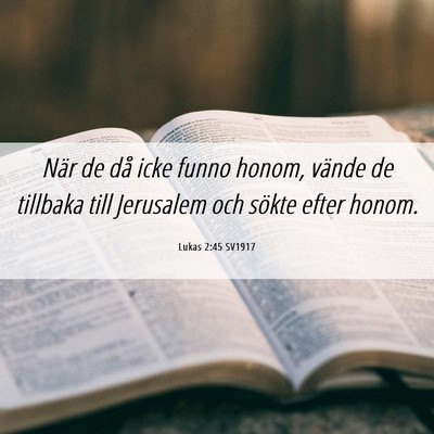 Picture 06 - Lukas 2:45 SV1917 - När de då icke funno honom, vände de tillbaka - Bible Verse Picture
