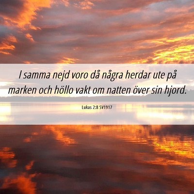 Picture 06 - Lukas 2:8 SV1917 - I samma nejd voro då några herdar ute på - Bible Verse Picture