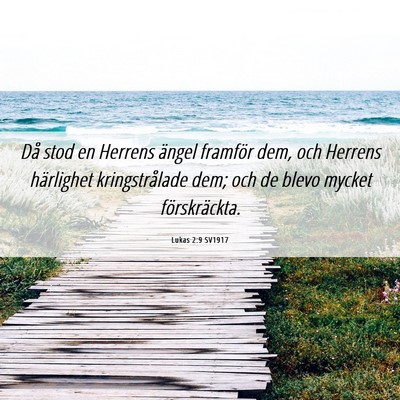 Picture 06 - Lukas 2:9 SV1917 - Då stod en Herrens ängel framför dem, och - Bible Verse Picture