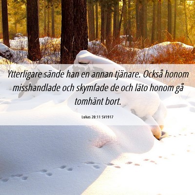 Picture 06 - Lukas 20:11 SV1917 - Ytterligare sände han en annan tjänare. Också - Bible Verse Picture