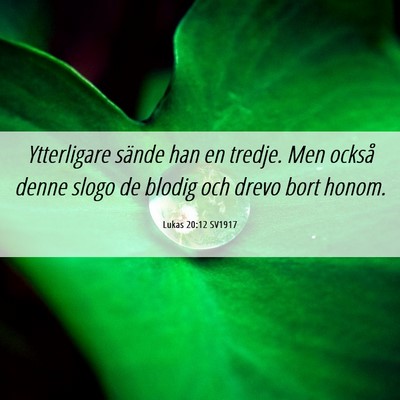 Picture 06 - Lukas 20:12 SV1917 - Ytterligare sände han en tredje. Men också - Bible Verse Picture