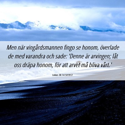 Picture 06 - Lukas 20:14 SV1917 - Men när vingårdsmannen fingo se honom, - Bible Verse Picture