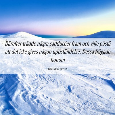Picture 06 - Lukas 20:27 SV1917 - Därefter trädde några sadducéer fram och - Bible Verse Picture